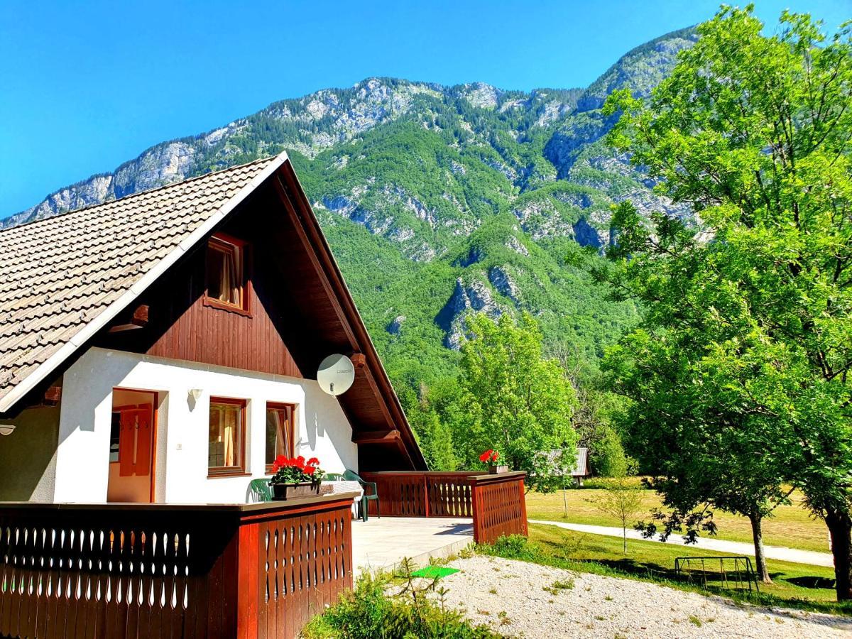 Bohinj Star Apartments Zewnętrze zdjęcie